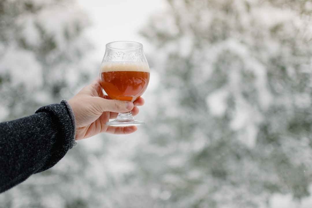 The Best Seasonal Beers: A Guide to Spring, Summer, Fall, and Winter Brews