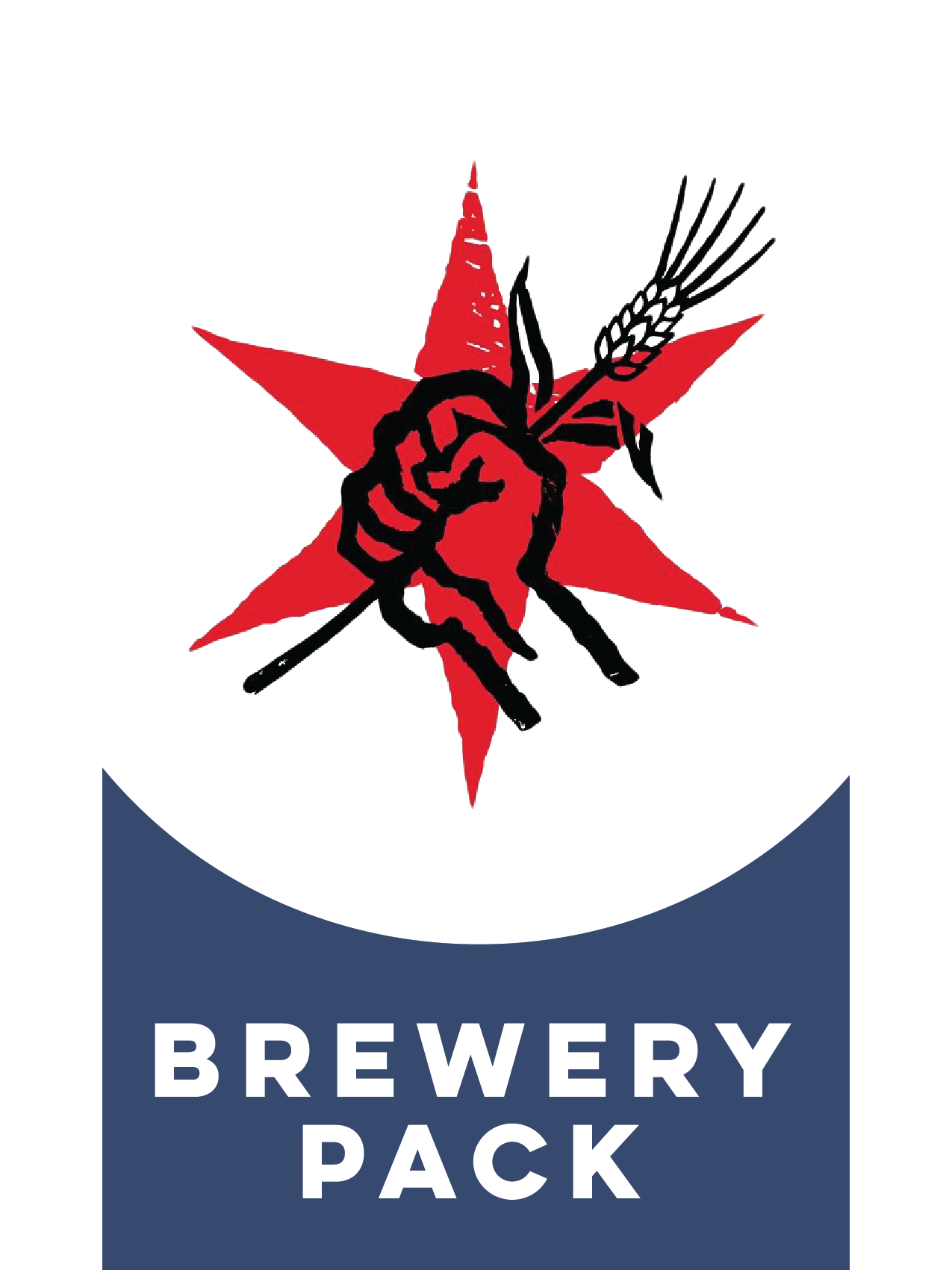 -Revolution- Revolution Brewery Pack Dark Edition-Packs & Cases- Only @ Beer Republic - The best online beer store for American & Canadian craft beer - Buy beer online from the USA and Canada - Bier online kopen - Amerikaans bier kopen - Craft beer store - Craft beer kopen - Amerikanisch bier kaufen - Bier online kaufen - Acheter biere online - IPA - Stout - Porter - New England IPA - Hazy IPA - Imperial Stout - Barrel Aged - Barrel Aged Imperial Stout - Brown - Dark beer - Blond - Blonde - Pilsner - Lager