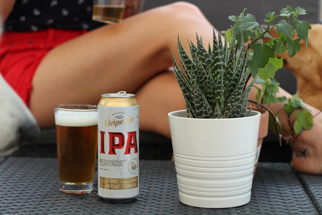 IPA Beer Styles: A Complete Guide to Hops, History, and How to Choose